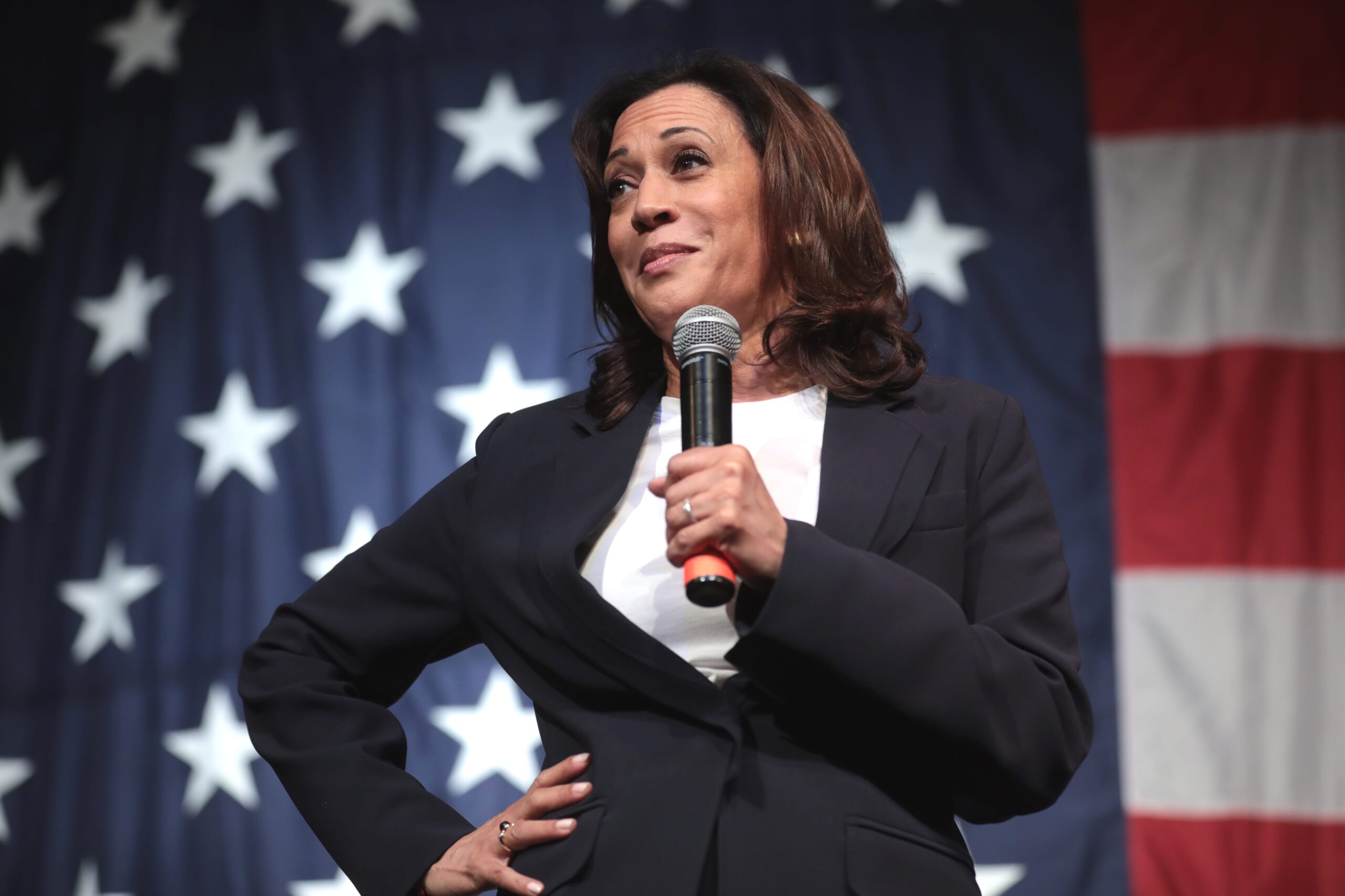 Kamala Harris diversity hire